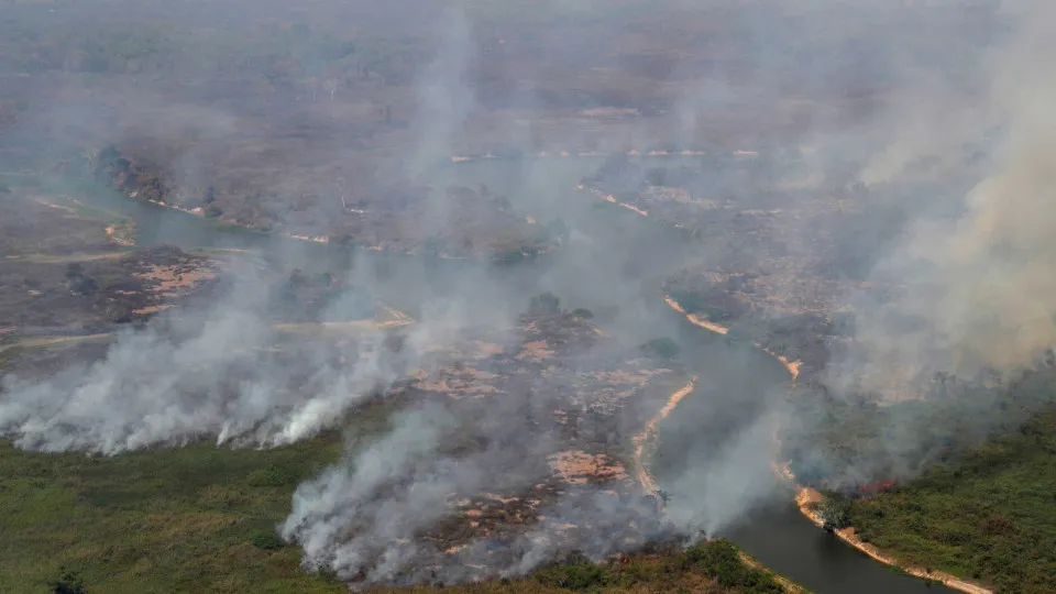 Frequência de desastres por incêndios florestais dispara no mundo, mostra estudo