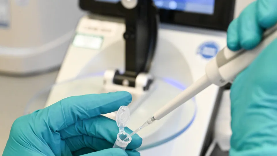 Cientistas descobrem ser vivo que não se encaixa em categorias conhecidas