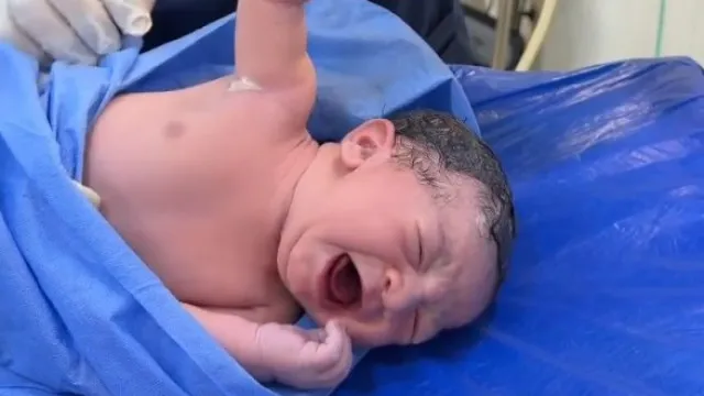 Recém-nascido não larga médico e momento viraliza; veja o momento!